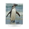 Penguin Shower Curtain - Cute and Playful Bathroom Accessory 