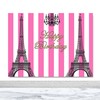 Pink Stripes Paris Eiffel Tower Photo Backdrops, Perfect for Birthday Party Photography 