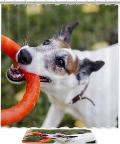 Playful Dog Playing In Park With Toys Shower Curtain - Waterproof Bathroom Curtain