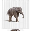Playful Elephant Print Waterproof Shower Curtain For Your Bathroom