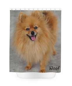 Pomeranian Woof Dog Shower Curtain - Cute Pet Bathroom Decor