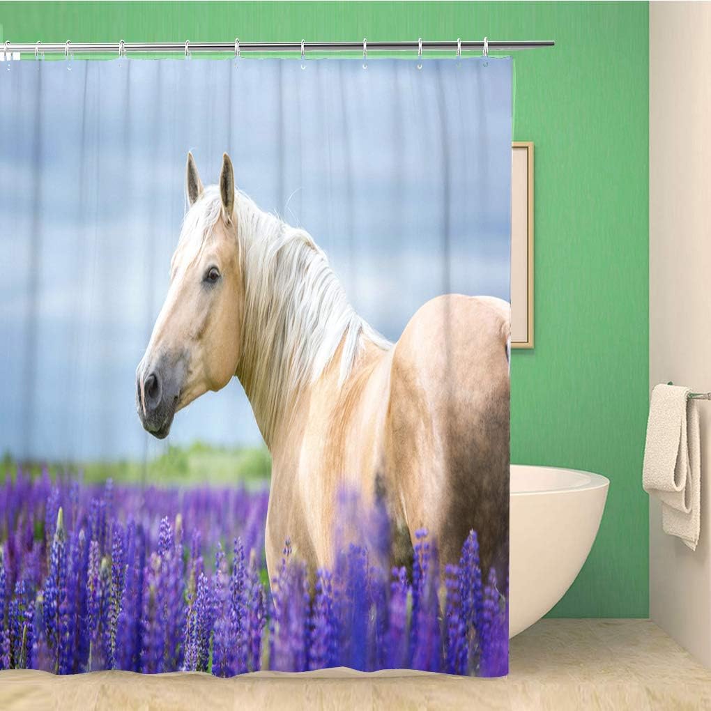 Portrait of Palomino Horse Shower Curtain with Animal Nature Design, Equestrian Bathroom Decor