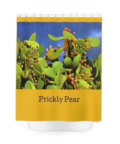Prickly Pear Cactus Shower Curtain - Southwestern Bathroom Decor 