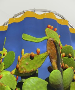 Prickly Pear Cactus Shower Curtain - Southwestern Bathroom Decor