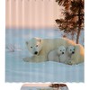 Printed Polar Bear Shower Curtain with a Simple yet Elegant Look