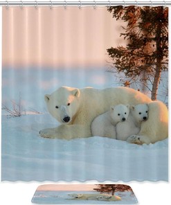 Printed Polar Bear Shower Curtain with a Simple yet Elegant Look