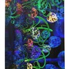Psychedelic Trippy Mushroom Shower Curtain with 3D Effect Print