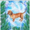 Psychedelic Wiener Dog Shower Curtain With Colorful Background