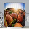 Pumpkin Sunset Fabric Shower Curtain With A Flair For Nature