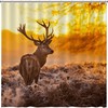 Red Deer at Sunrise Shower Curtain for Nature Bathroom Decor