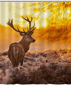 Red Deer at Sunrise Shower Curtain for Nature Bathroom Decor
