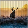 Red Deer in Forest Print Shower Curtain for Rustic Bathroom Decor