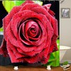 Red Rose Flower Print Shower Curtain for a Classic Look