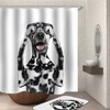 Relaxing Fun Humorous Dalmatian Dog Bath And Shower Curtain For Kids Bathroom Decor