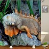 Reptile Gift: Lizard Shower Curtain for Animal Lovers