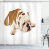 Resting English Bulldog Shower Curtain - Cloth Fabric Bathroom Decor In Cream Brown