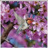 Restroom Refresh: Colorful Fabric Shower Curtain with Hummingbirds and Flowers