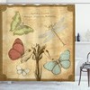 Retro Butterflies Art Dragonfly Shower Curtain For A Nostalgic Bath