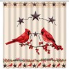 Retro Texas Star Shower Curtain - Red Bird and Berry Prints with Rusty Stars and Southwestern Flair for Farmhouse