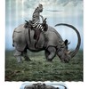 Rhino Zebra Manipulation Vintage Shower Curtain With Microfiber Accents, Machine Washable