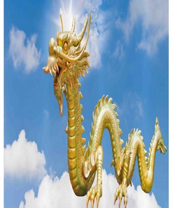 Rich Cultural Chinese Dragon Shower Curtain For A Sophisticated Bathroom