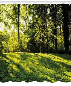Rising Sun Beams Forest Print Shower Curtain: A Mesmerizing Beauty For Your Bathroom