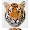 Roaring Tiger Head Waterproof Shower Curtain for Artistic Bathroom Decor