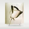 Romantic Love Rose Shower Curtain, Sepia Brown Floral Bathroom Decor