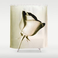Romantic Love Rose Shower Curtain, Sepia Brown Floral Bathroom Decor