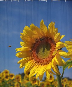 Romantic Sunflower Shower Curtain, Floral Bathroom Decor, Unique Farmhouse Style Accessory