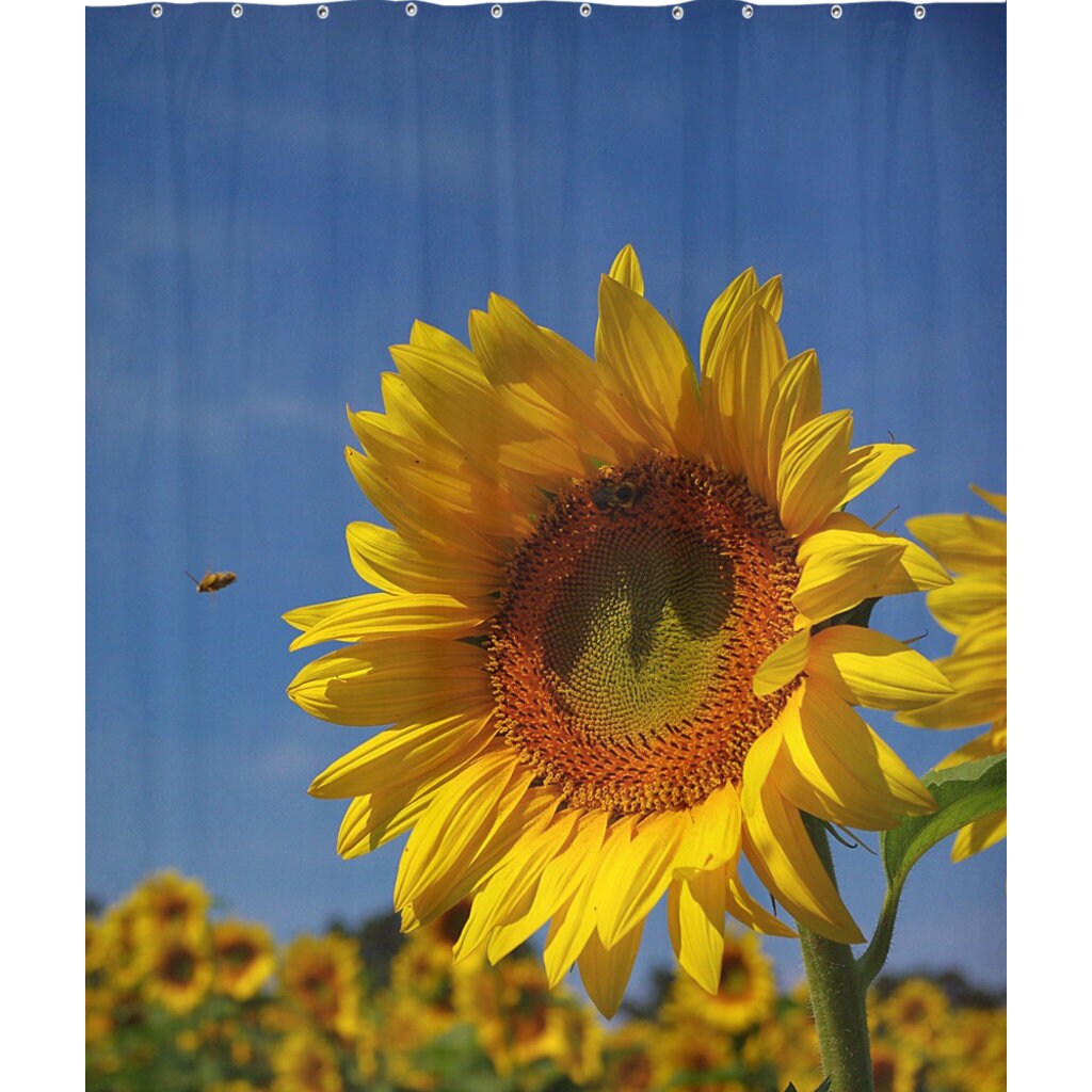 Romantic Sunflower Shower Curtain, Floral Bathroom Decor, Unique Farmhouse Style Accessory