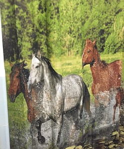 Running Horses Galloping Cowboy Bathroom Shower Curtain for Horse Lovers