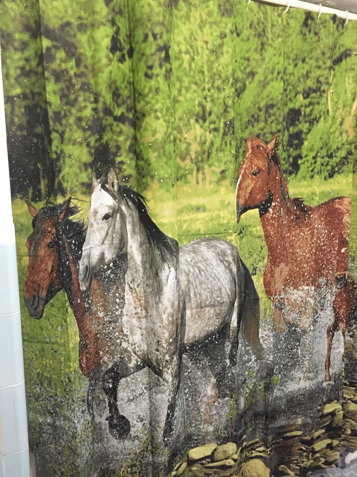 Running Horses Galloping Cowboy Bathroom Shower Curtain for Horse Lovers