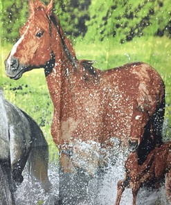 Running Horses Galloping Cowboy Bathroom Shower Curtain for Horse Lovers