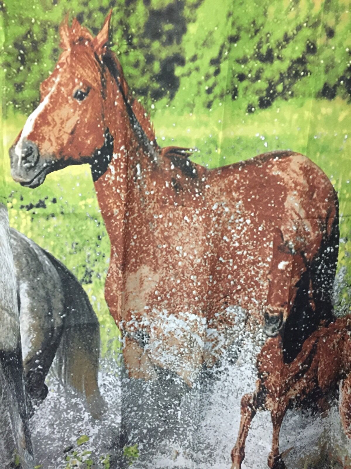 Running Horses Galloping Cowboy Bathroom Shower Curtain for Horse Lovers