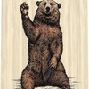 Rustic Bear Camper Rv Shower Curtain - Perfect For Travel Trailer Bathrooms