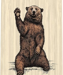 Rustic Bear Camper Rv Shower Curtain - Perfect For Travel Trailer Bathrooms