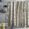 Rustic Birch Tree Shower Curtain for Your Bathroom
