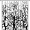 Rustic Forest Shower Curtain In Black And White, Bring Some Nature To Your Bathroom Decor