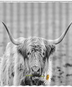 Rustic Highland Cow with Daisy Flowers Shower Curtain for Farmhouse Bathroom Decor