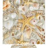 Rustic Seaside Beach Shower Curtain With Starfish And Seashells Print For A Coastal Bathroom