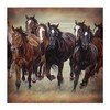 Rustic Western Bath Shower Curtain With Wild Horses Design