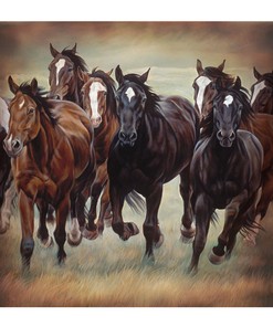 Rustic Western Bath Shower Curtain With Wild Horses Design