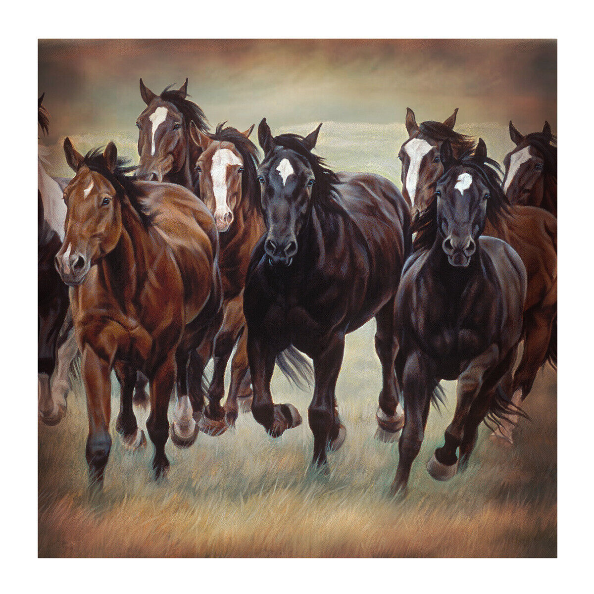 Rustic Western Bath Shower Curtain With Wild Horses Design