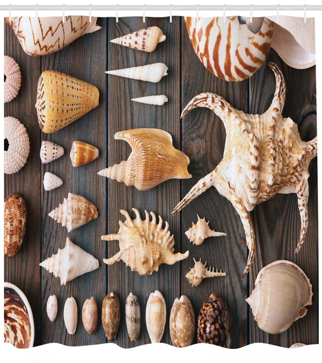 Rustic Wooden Country Style Seashell Nature Shower Curtain for Beach Bathroom