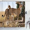 Safari Animal Cheetahs Shower Curtain - Wildlife Bathroom Decor