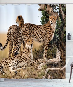 Safari Animal Cheetahs Shower Curtain - Wildlife Bathroom Decor