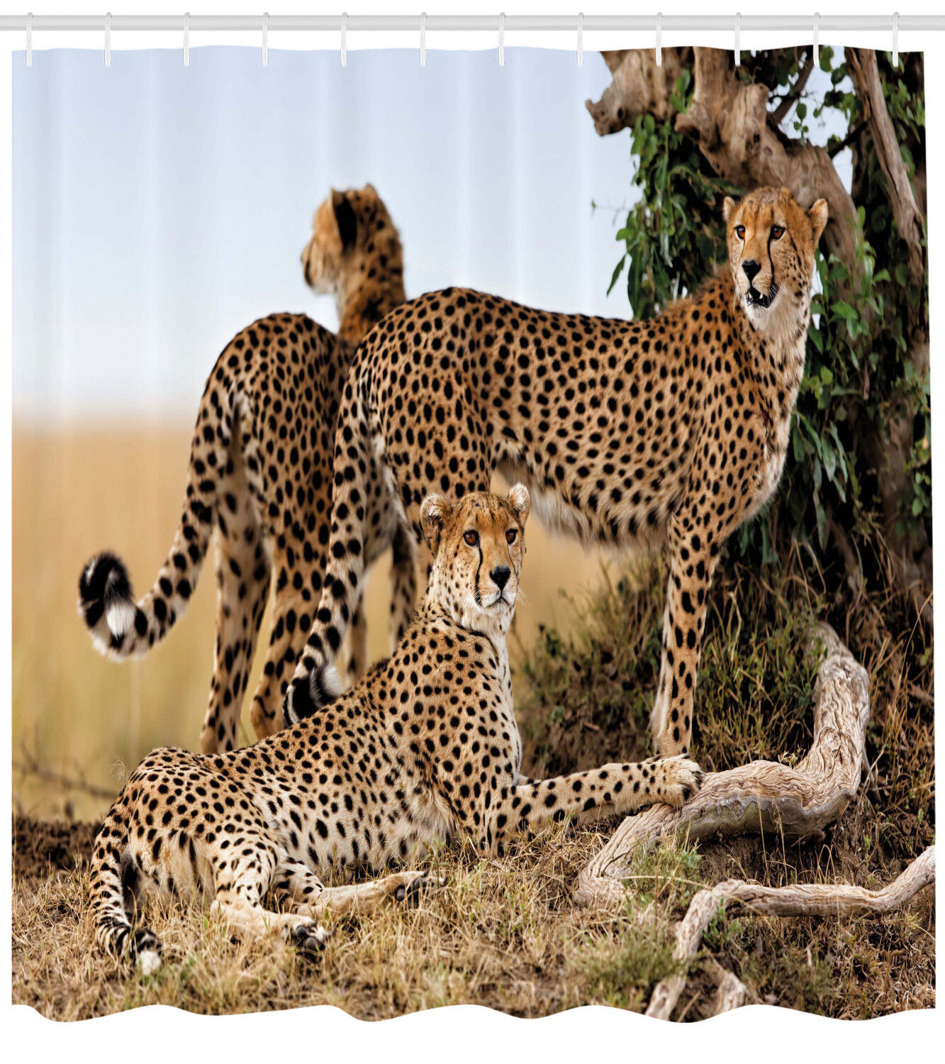 Safari Animal Cheetahs Shower Curtain - Wildlife Bathroom Decor