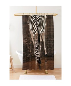 Safari Botswana and South Africa Zebra Drinking Water Shower Curtain for Authentic Bathroom Style