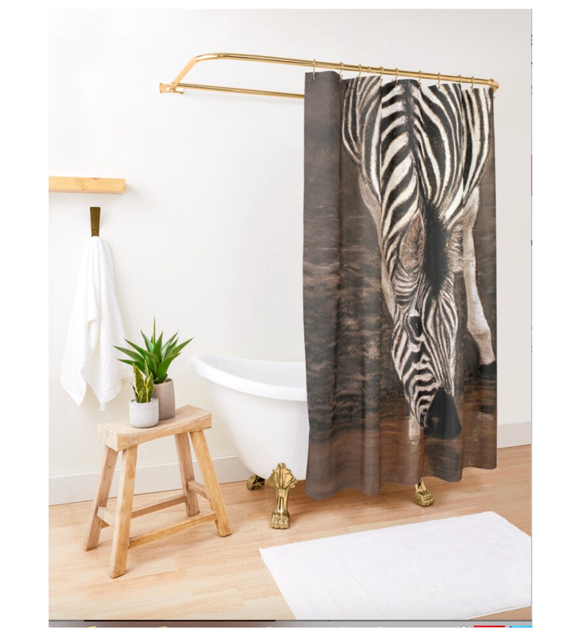 Safari Botswana and South Africa Zebra Drinking Water Shower Curtain for Authentic Bathroom Style